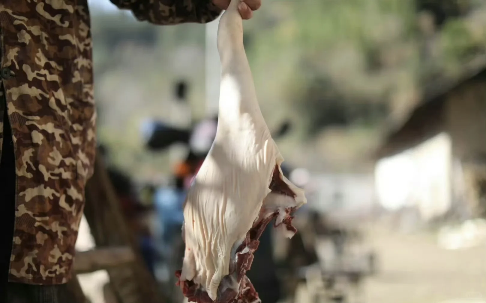 ����ҽԺ��ǵ�2���� | �ش�����������