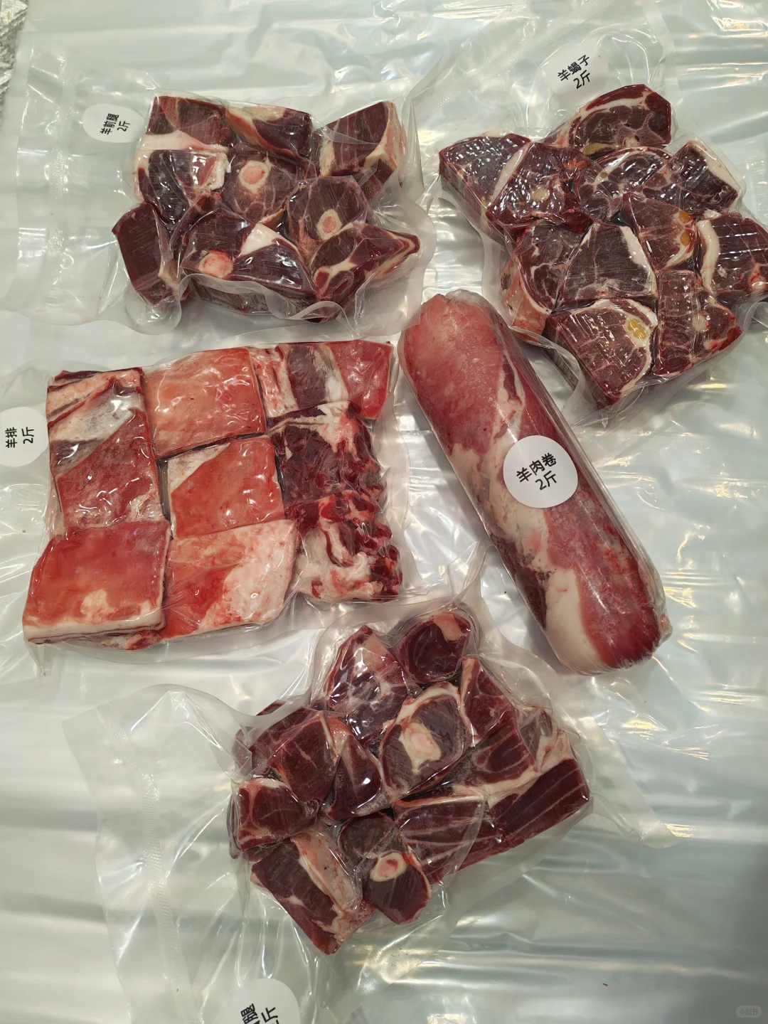 ���ɹŲ�ԭţ�������Ƥ����Ϯ��