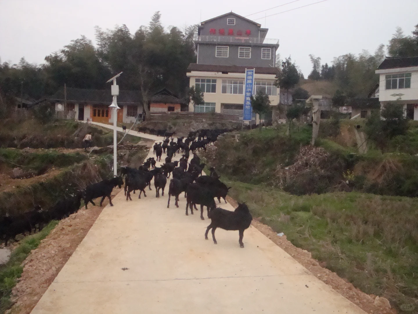 2026�����������ɽ����ֳ�𣿴𰸺���ȷ