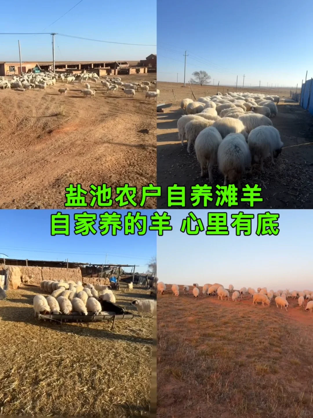 ��֧����ʱ��ͻϮ��顱���ҵ��򳡵������꡷