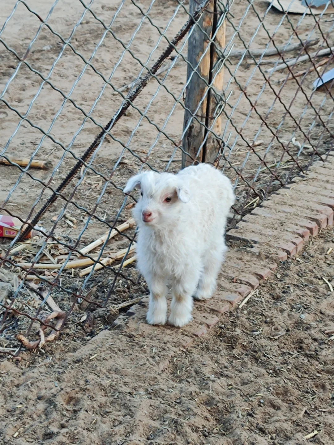 ��ĺÿɰ���ɽ�򱦱���������