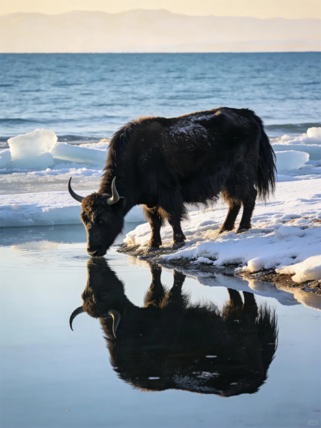 ���������ġ����á�ʱ�̣���ֱ�����˵ļ�֡