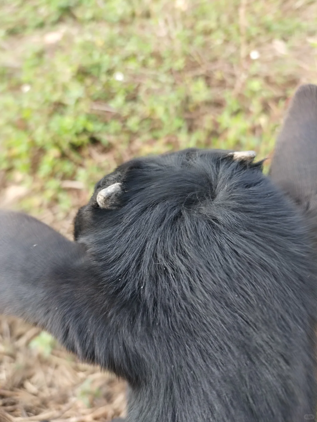 ��������ѡ