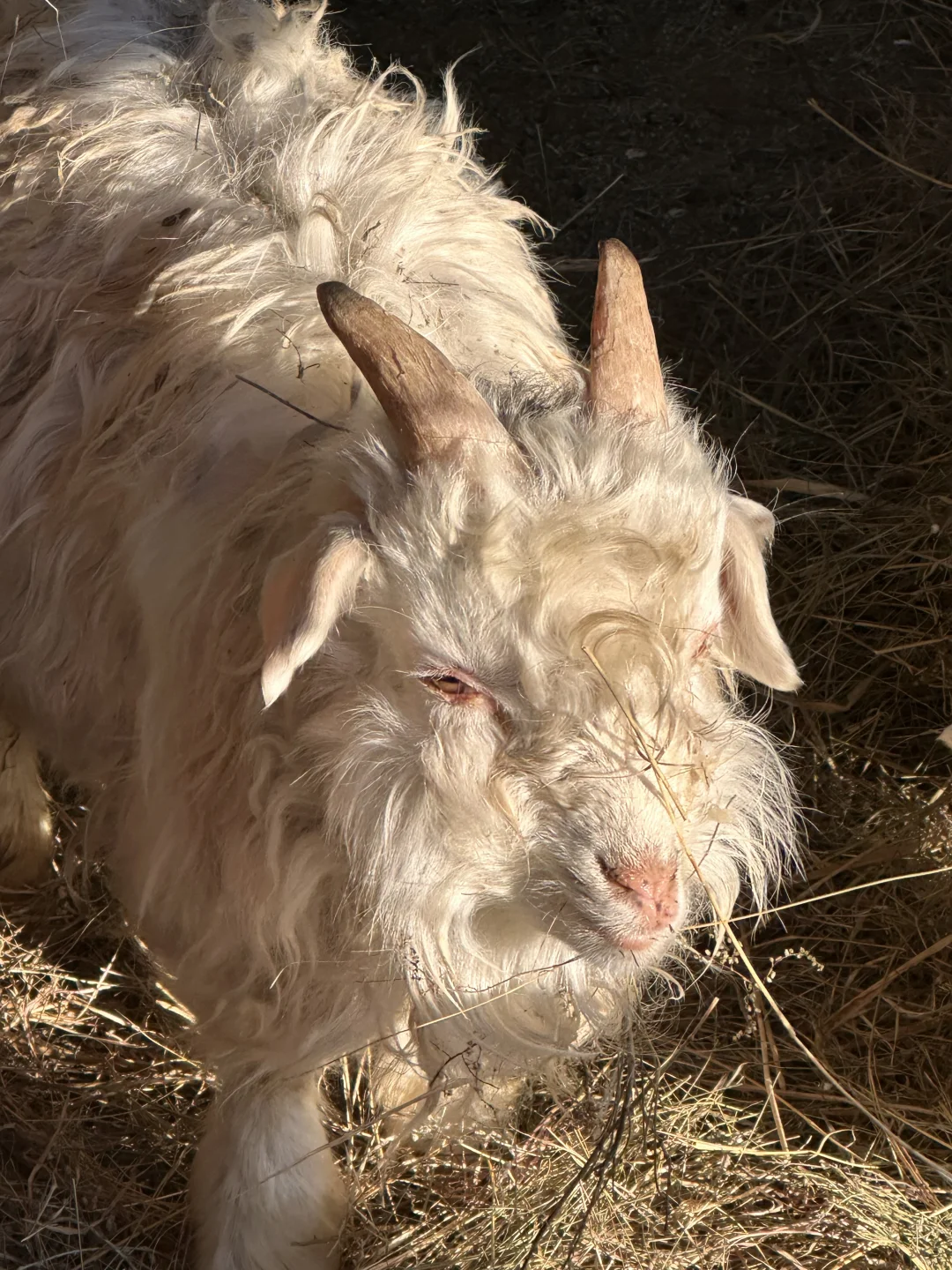 �Լ�������С˧��