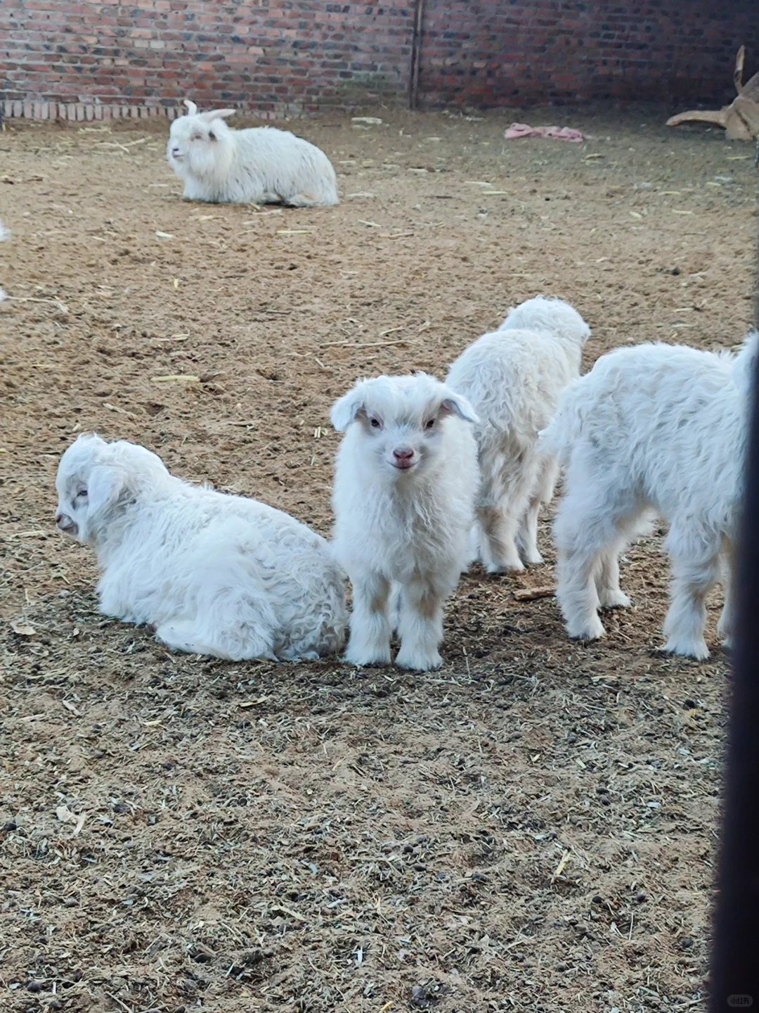 ��ĺÿɰ���ɽ�򱦱���������