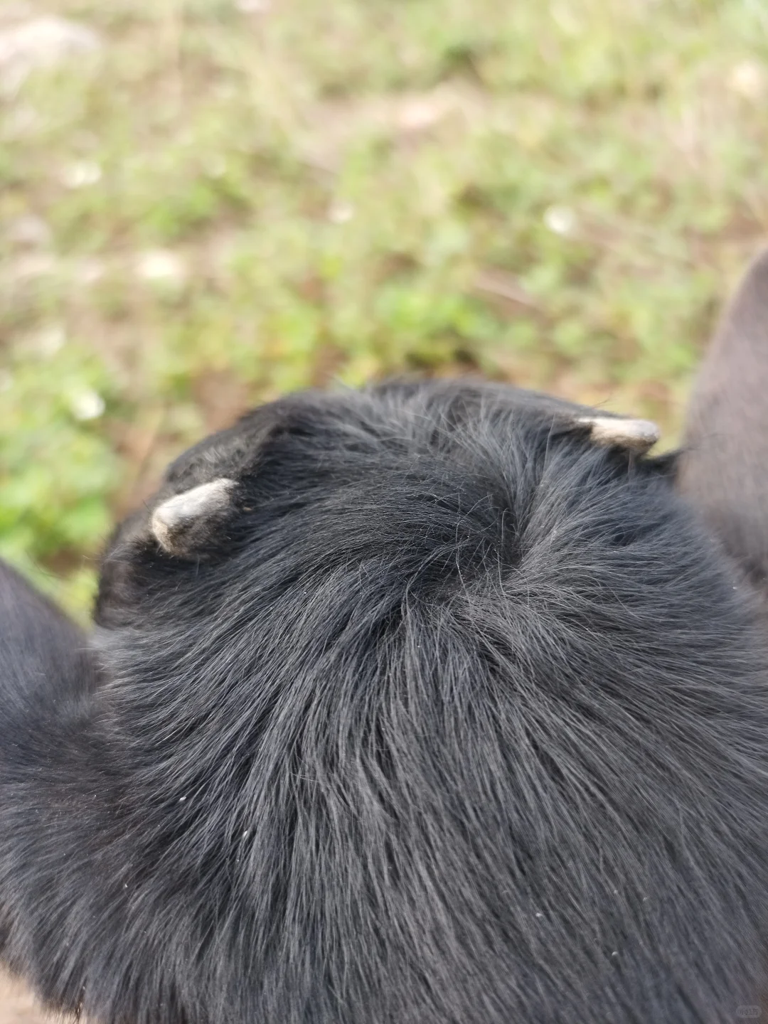 ��������ѡ