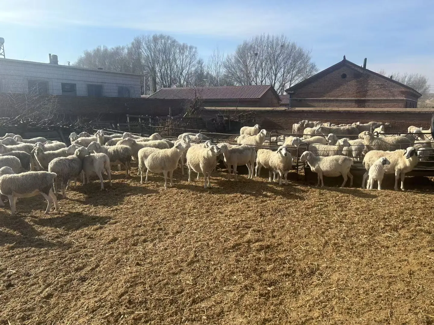 �ܾ�������ũ��Դͷֱ������������