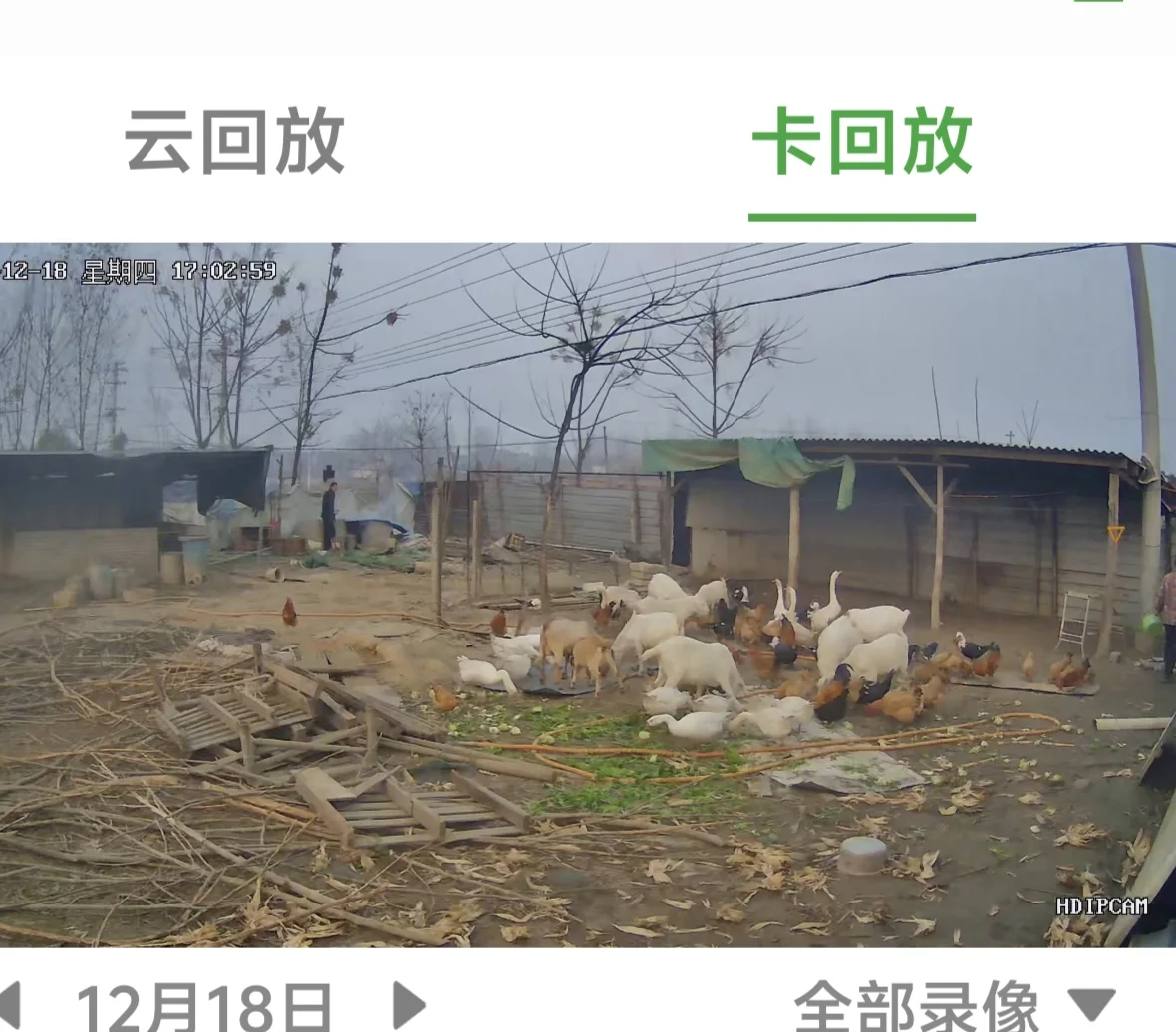 ��ĸ��ũ��ι�������⼦Ѽ�������