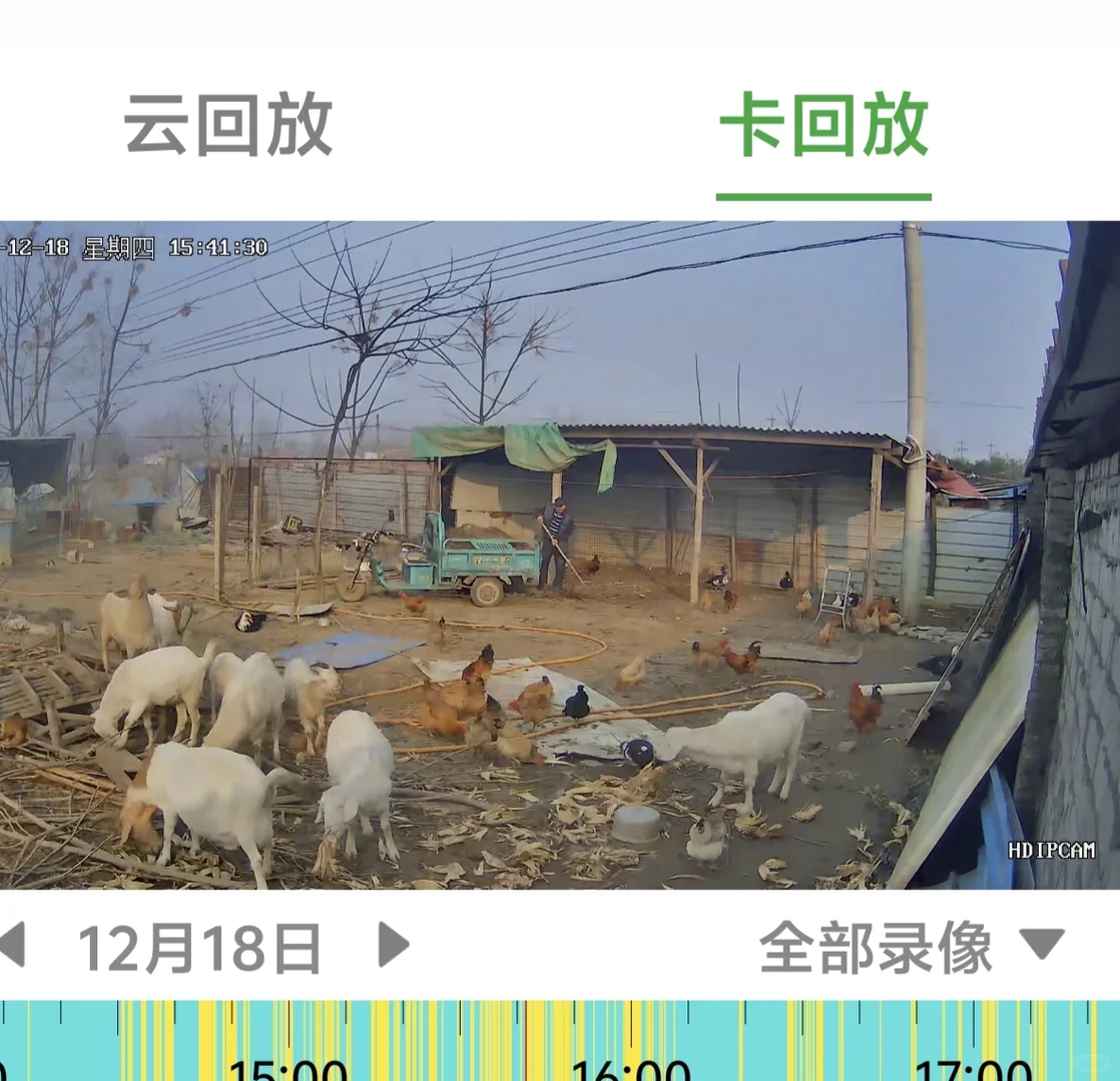 ��ĸ��ũ��ι�������⼦Ѽ�������