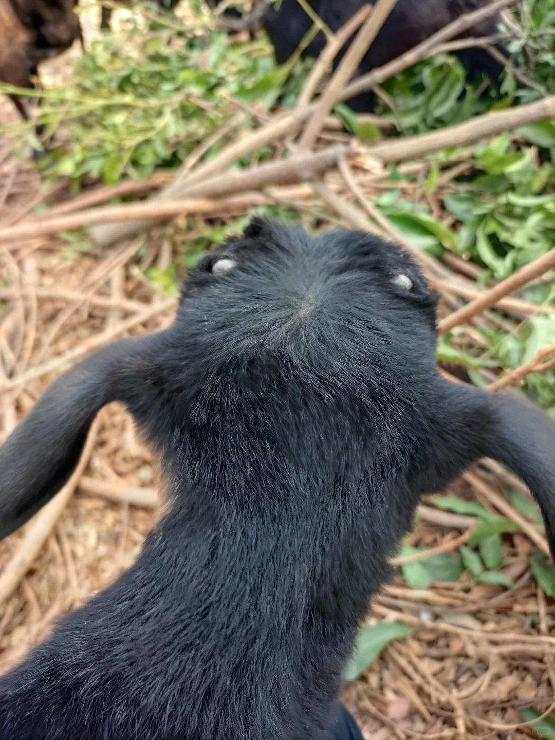 ��������ѡ