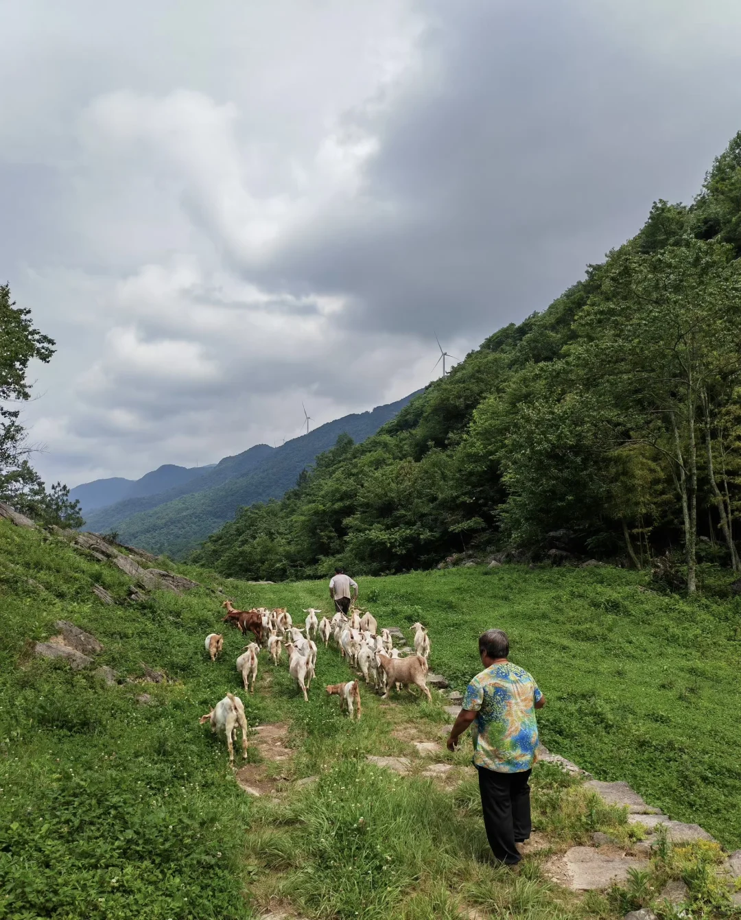 ����ҽԺ��ǵ�2���� | �ش�����������