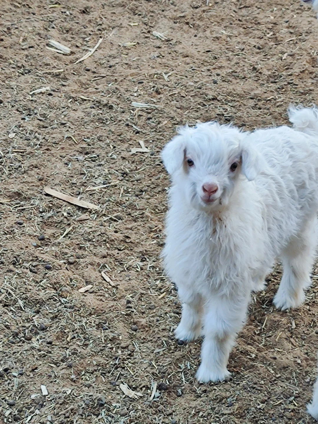 ��ĺÿɰ���ɽ�򱦱���������