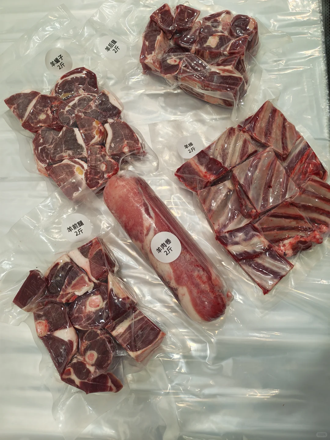 ���ɹŲ�ԭţ�������Ƥ����Ϯ��