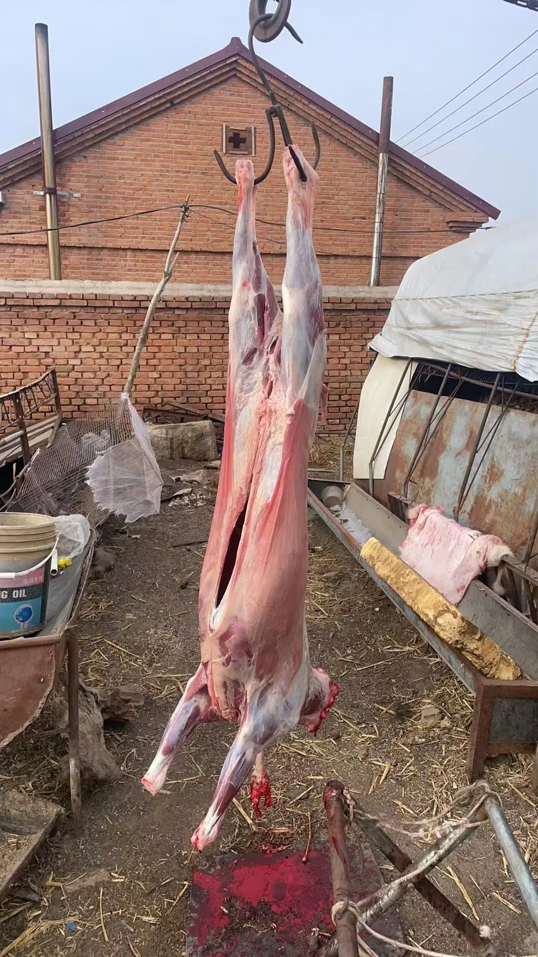 �ܾ�������ũ��Դͷֱ������������