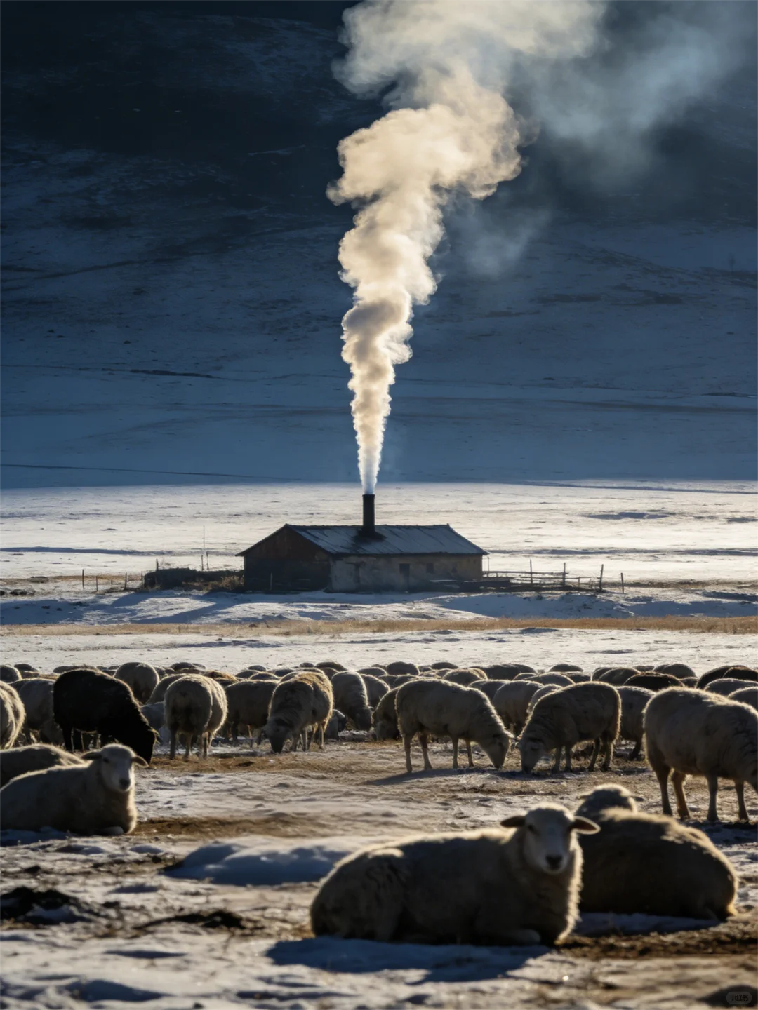 ���������ġ����á�ʱ�̣���ֱ�����˵ļ�֡