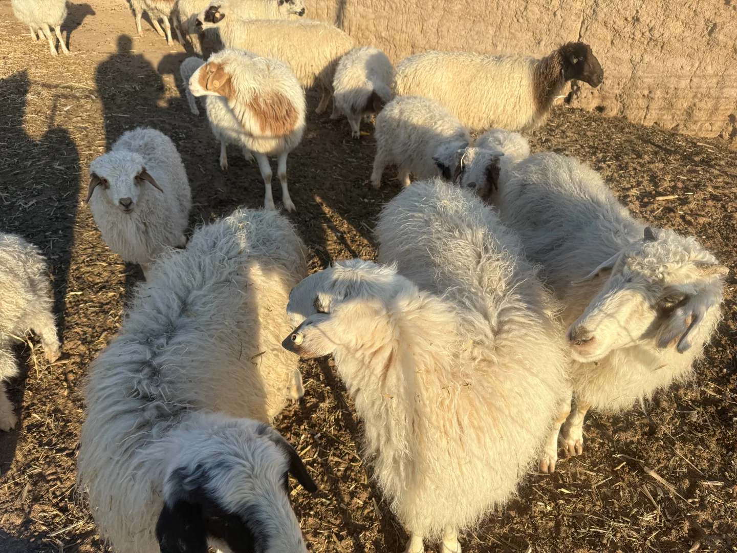 Ϊʲô��˵���ѡ���׼��������Ҳ���