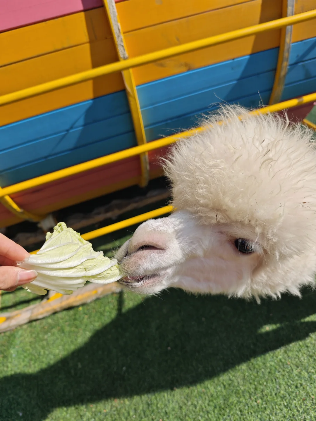 �������գ��ÿɰ���???