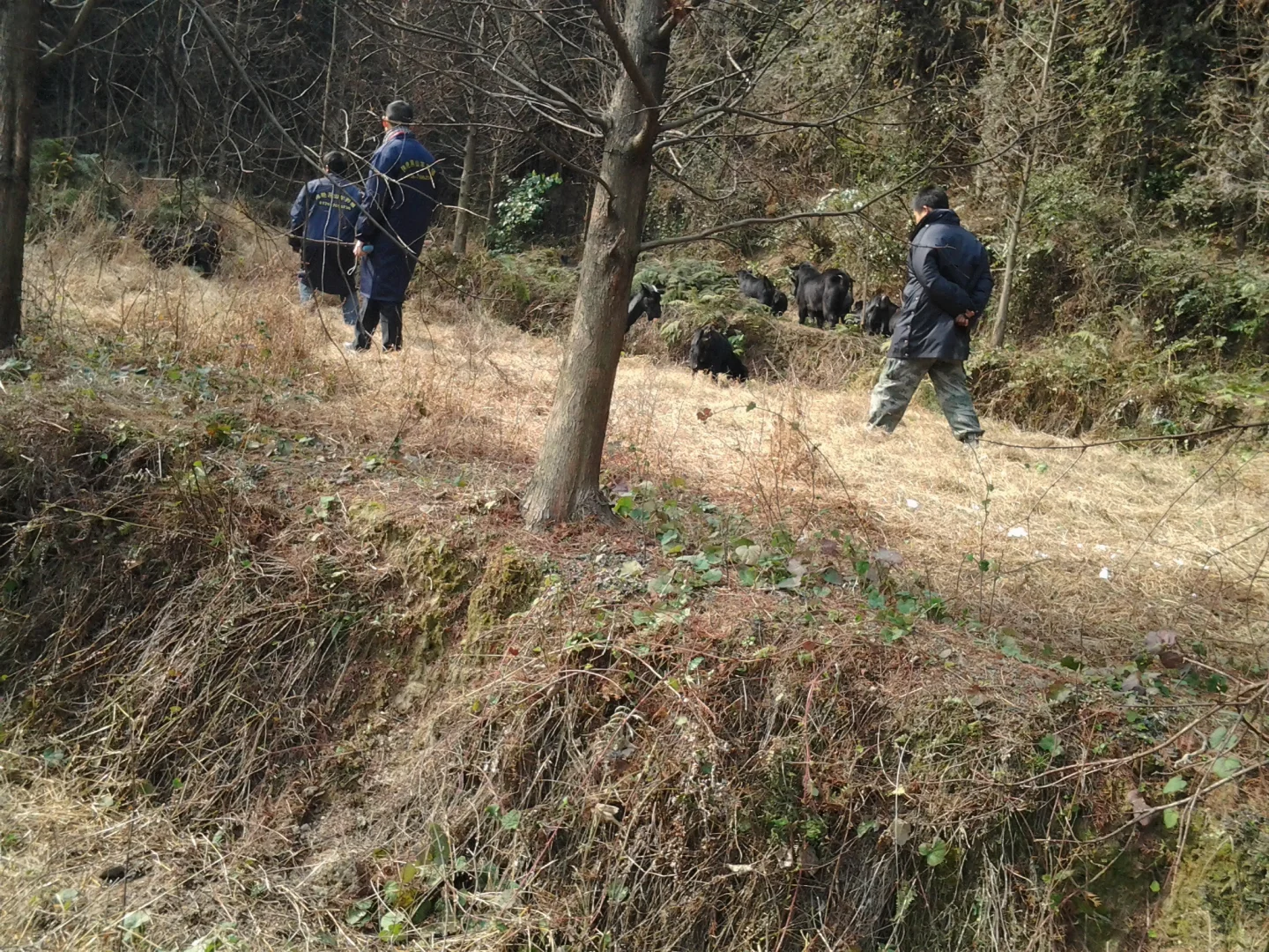 2026�����������ɽ����ֳ�𣿴𰸺���ȷ