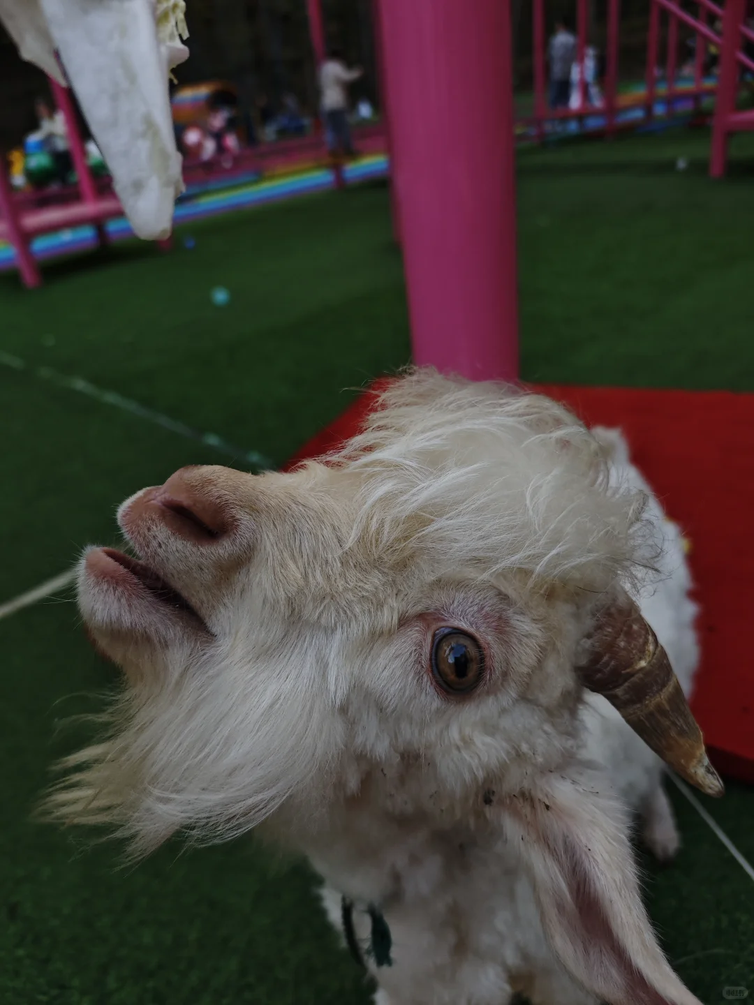 �������գ��ÿɰ���???