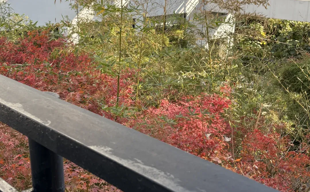 �ҵĽ��� �����뿪����������