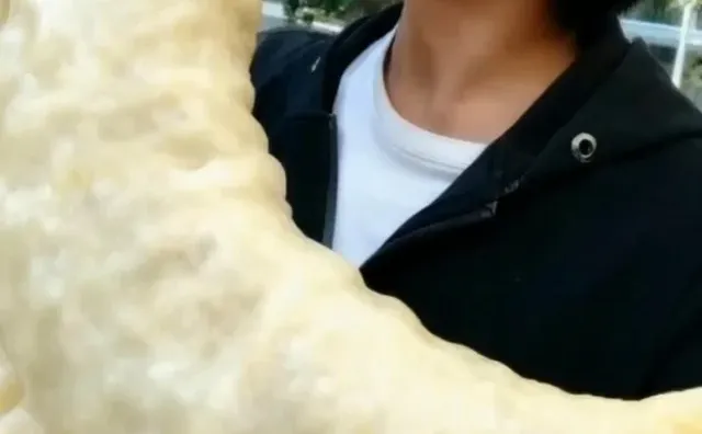 ���Ӷ�������