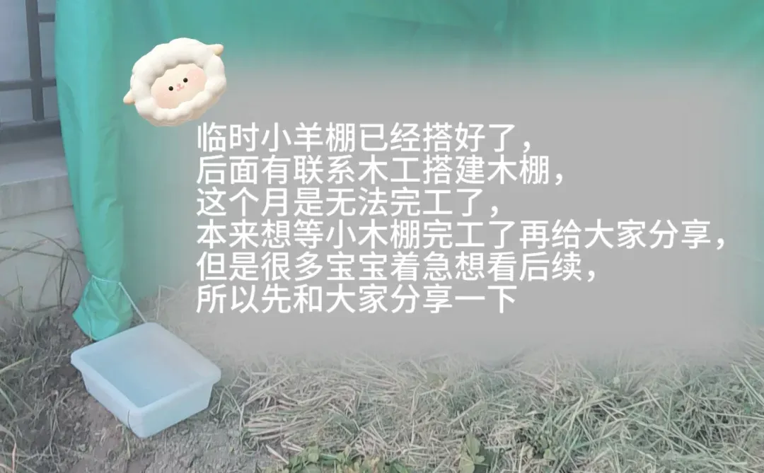 �����˿�����С���������