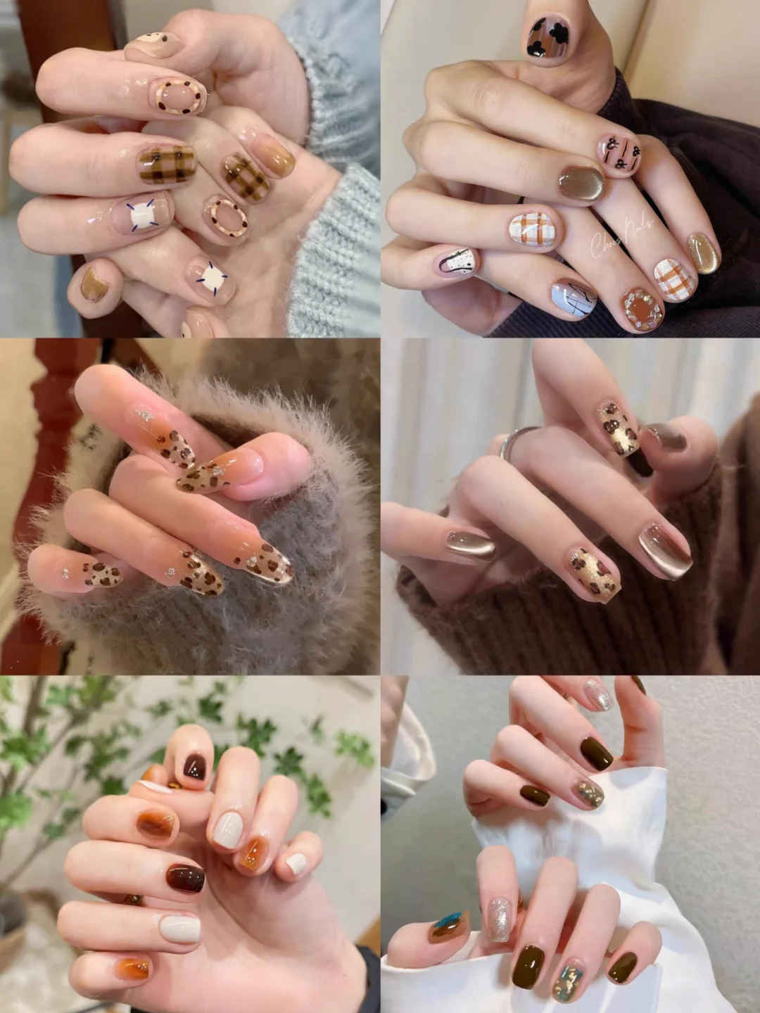 ���ῧɫϵ�԰�����ս������