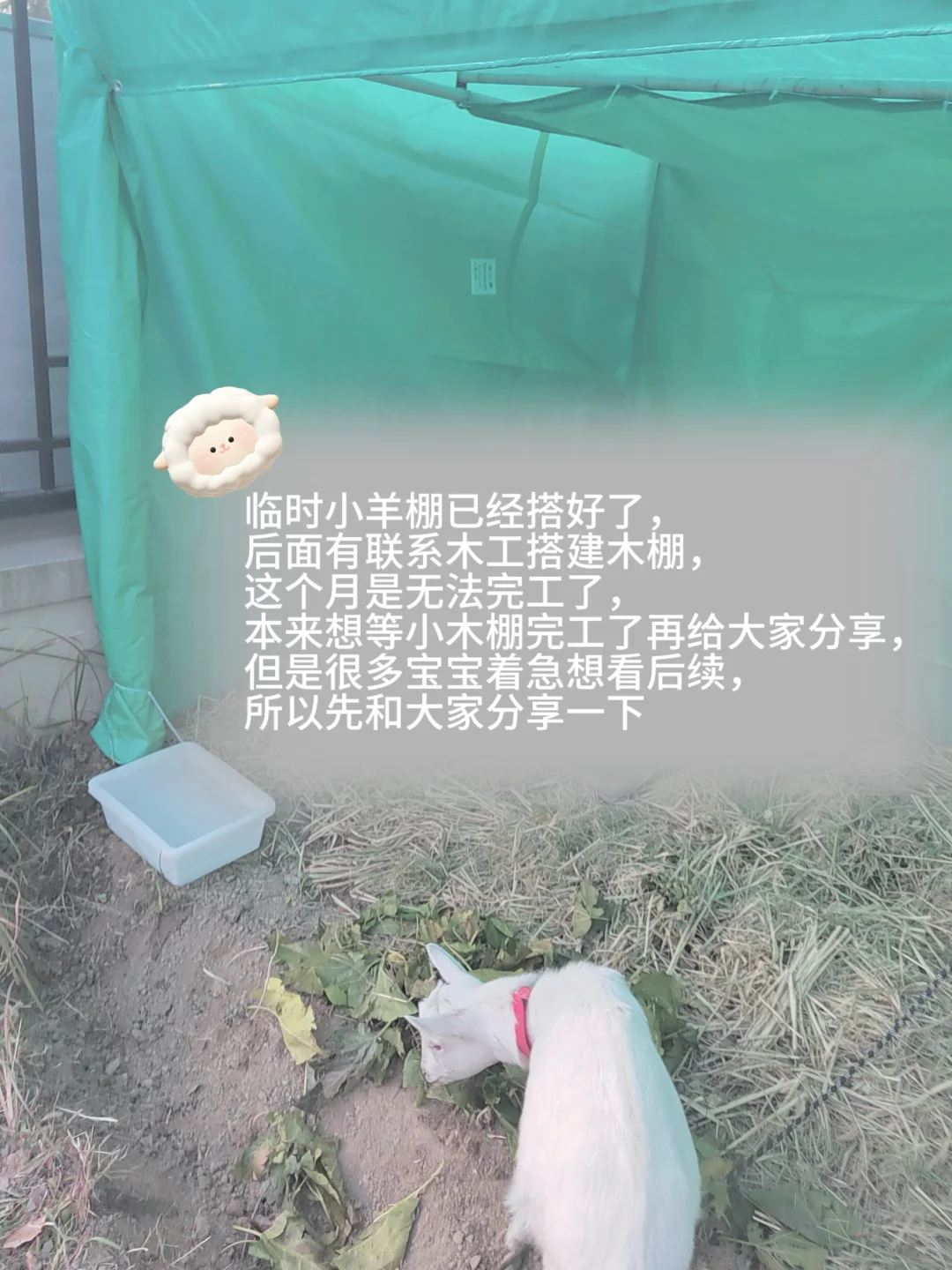 �����˿�����С���������