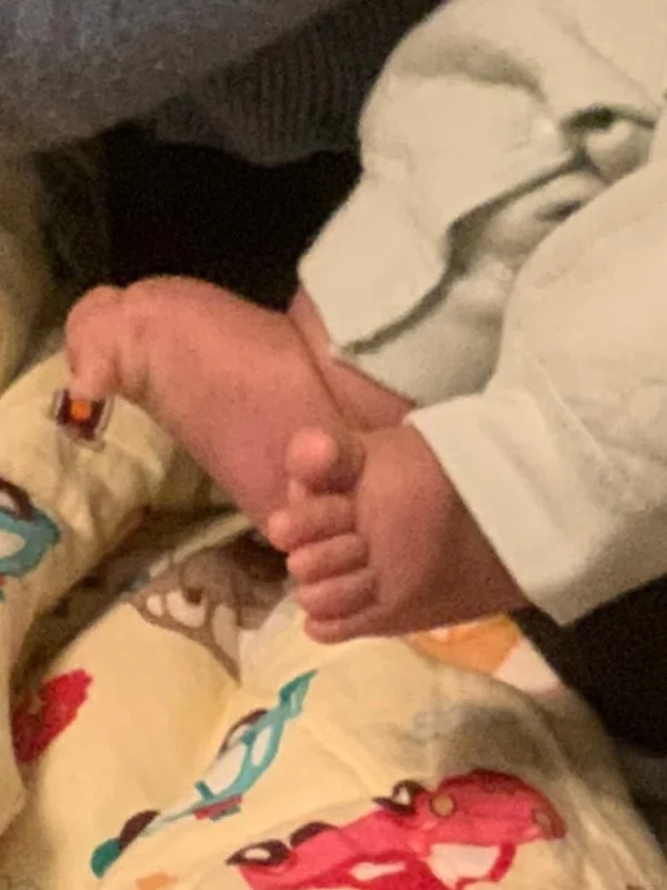 ���Ƶ�������ʵ��ֺͷ��͵͵������