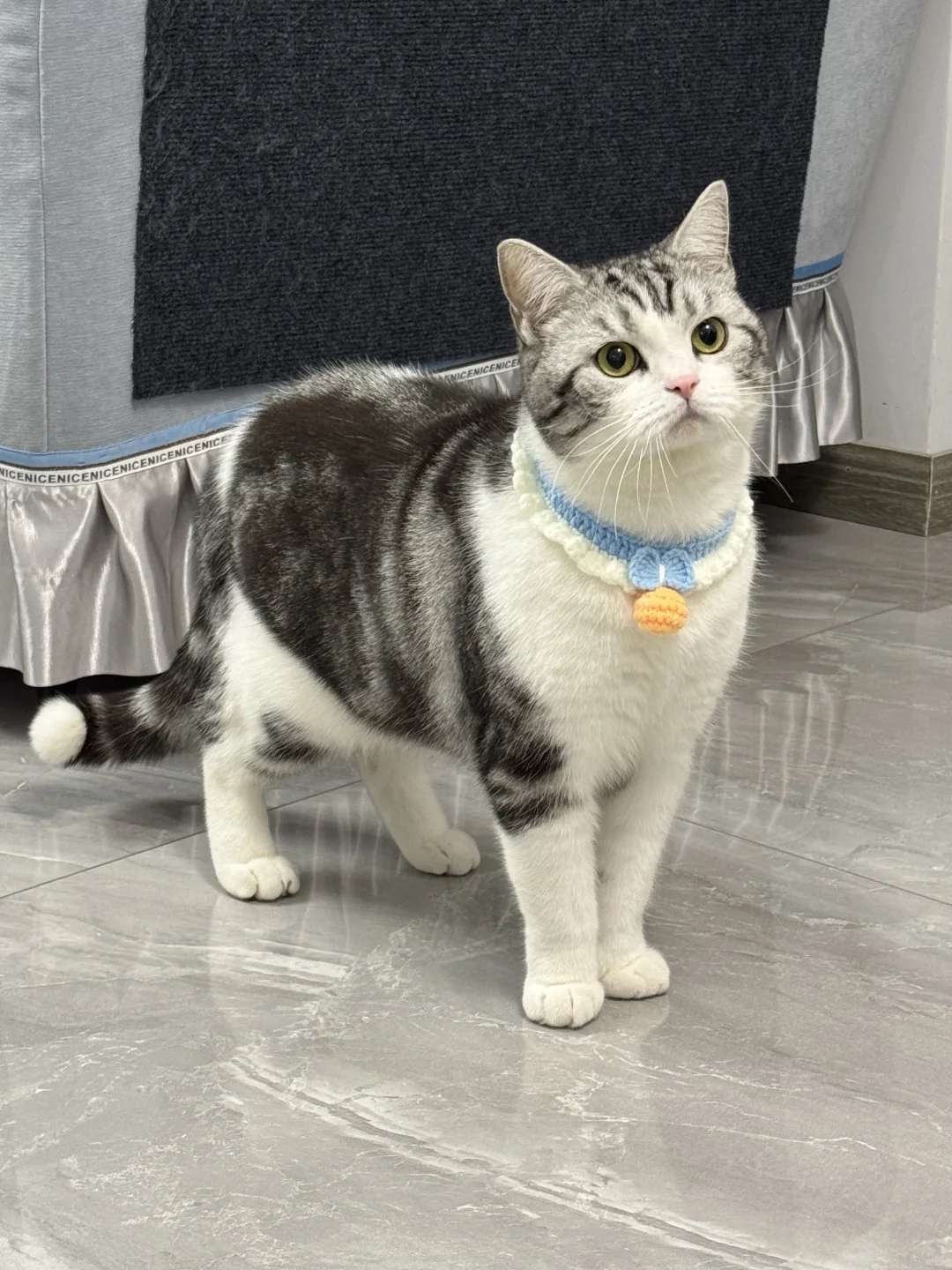 ��������