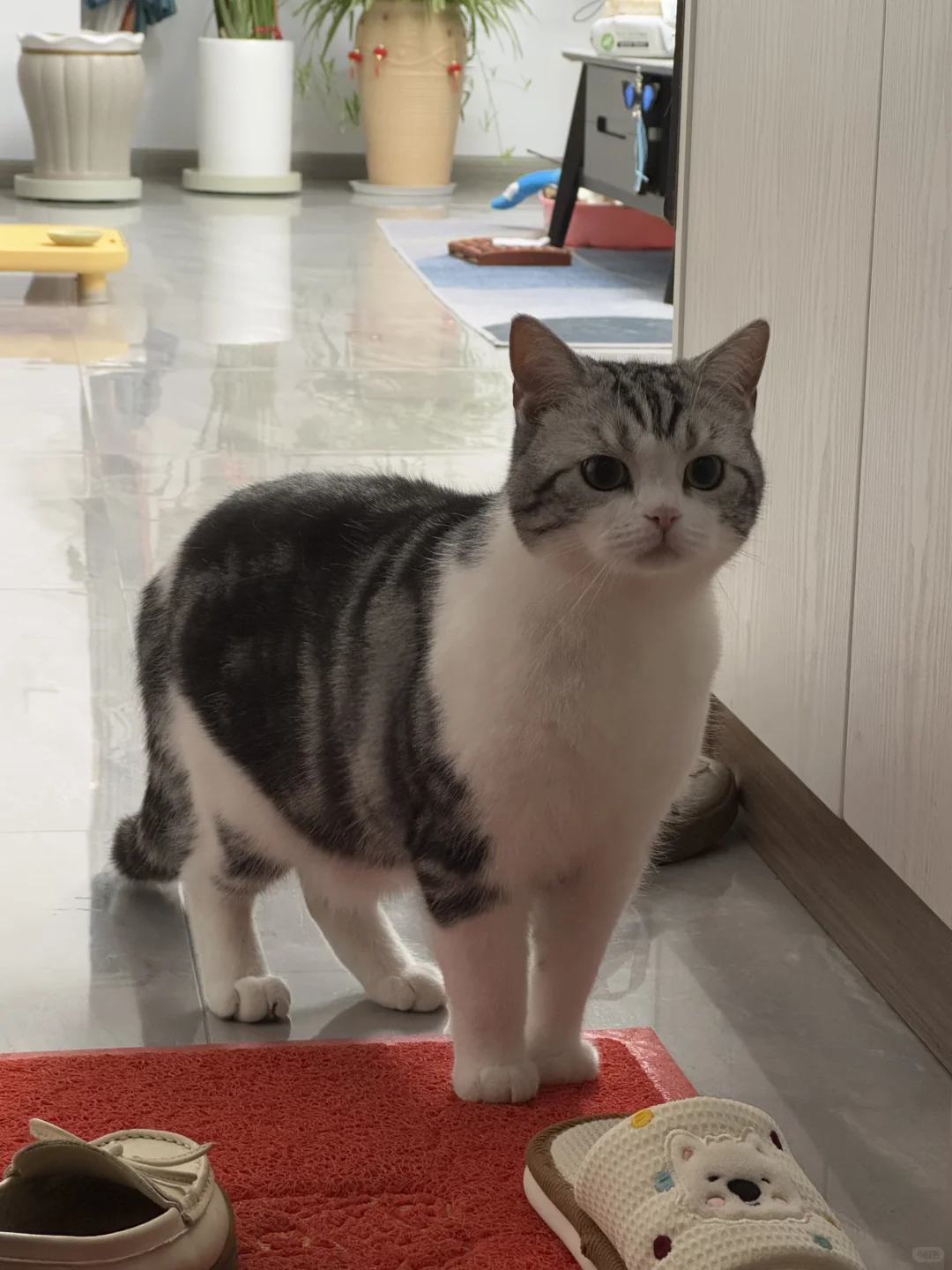 ��������