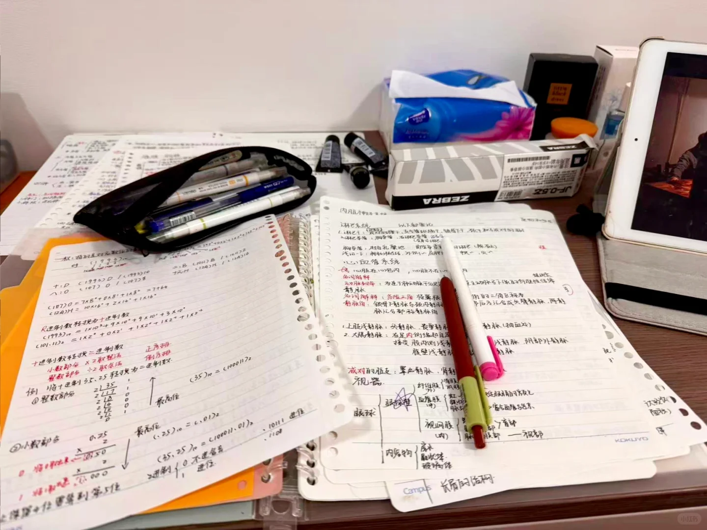 27考研现在该干嘛？一篇说清