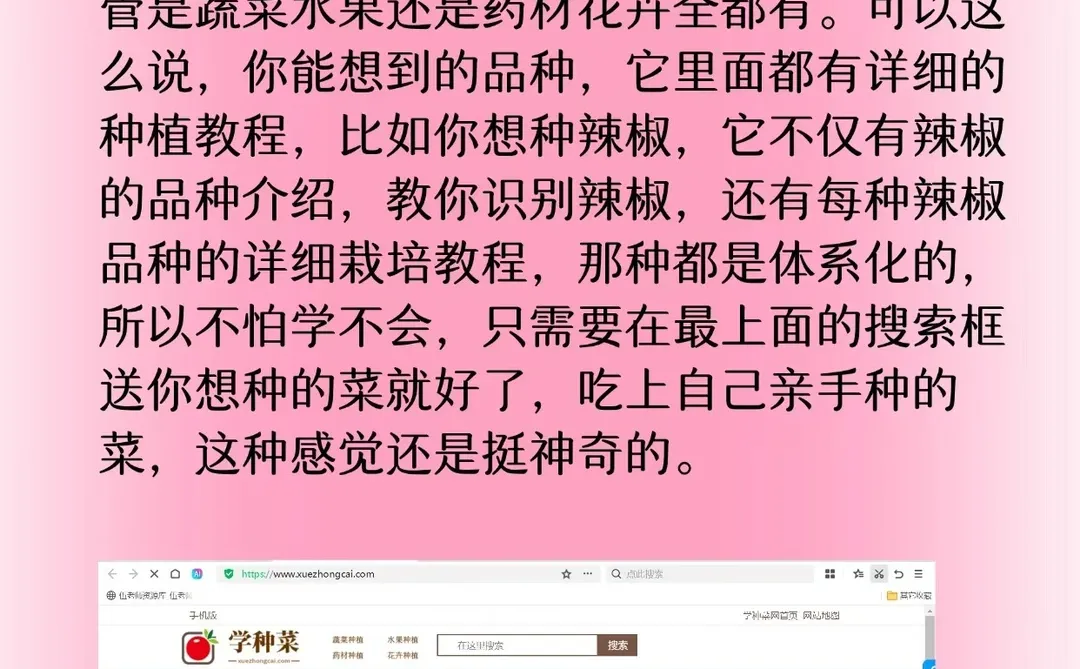 成年人们一定要知道的网站！