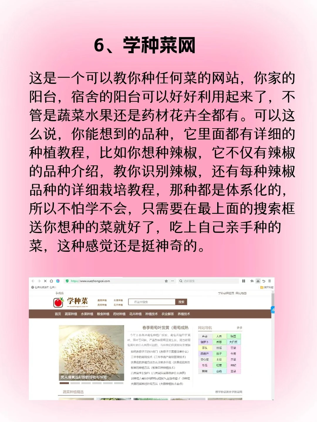 成年人们一定要知道的网站！