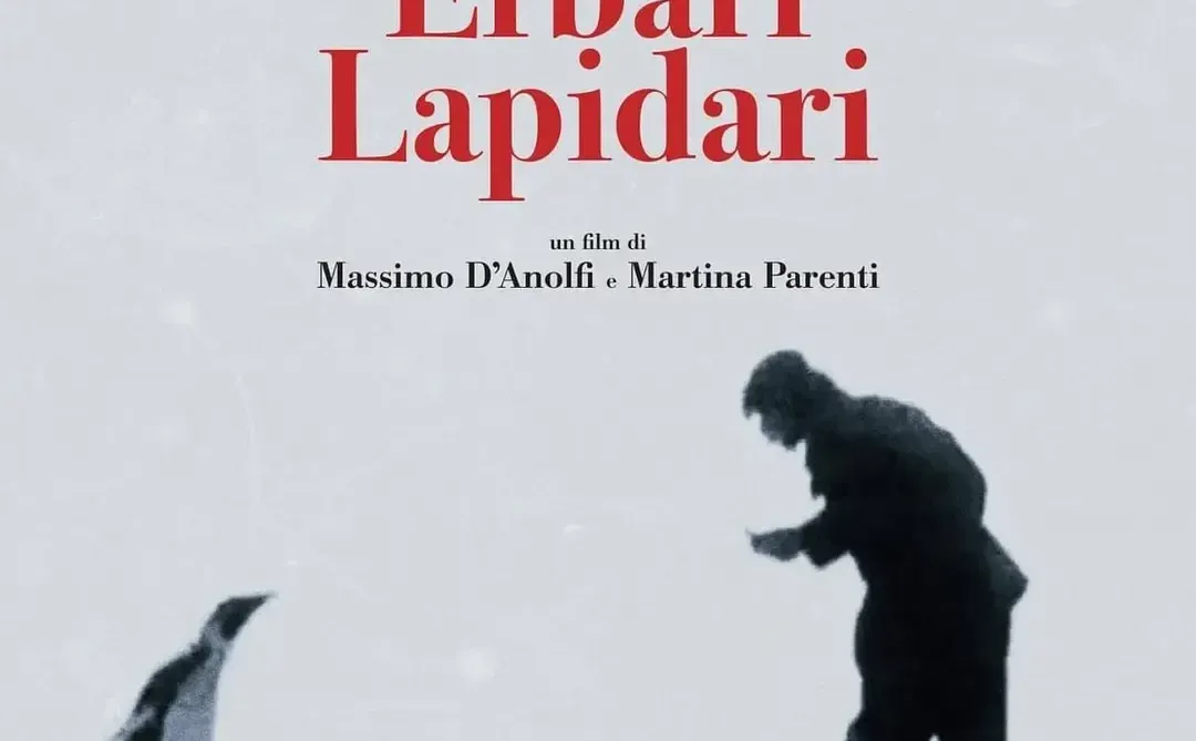 2025年度观影十佳整理🎞️