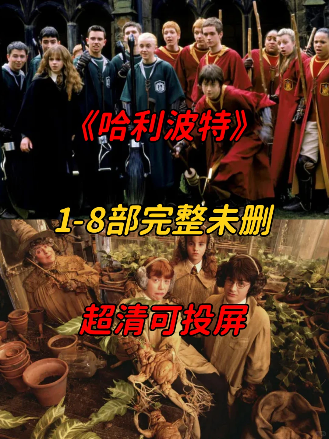 电影哈利波特1-8部，超清中字全集整理分享❗️