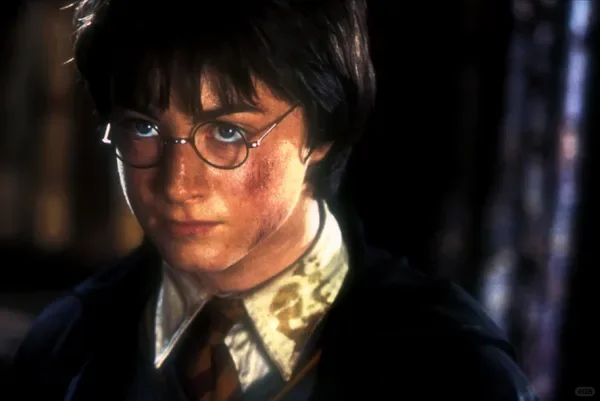 电影哈利波特1-8部，超清中字全集整理分享❗️