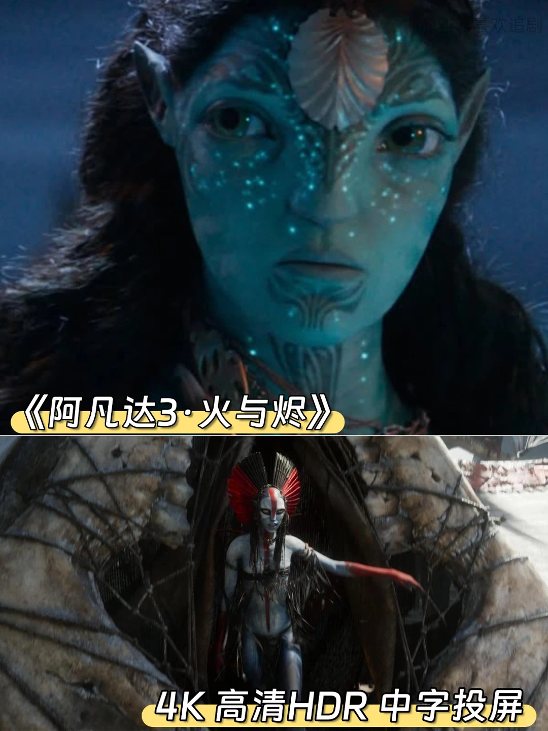 《阿凡达3火与烬》原版4K高清资源学习交流