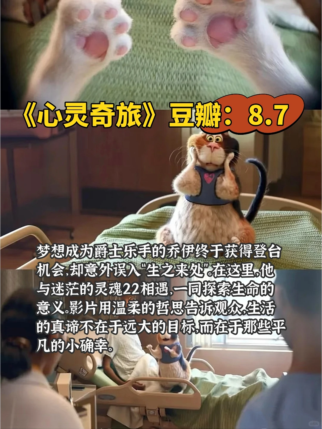 🔥必看的10部动画片电影｜温暖又治愈