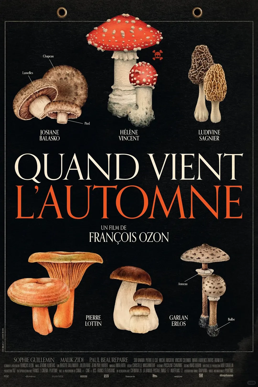 2025年度观影十佳整理🎞️