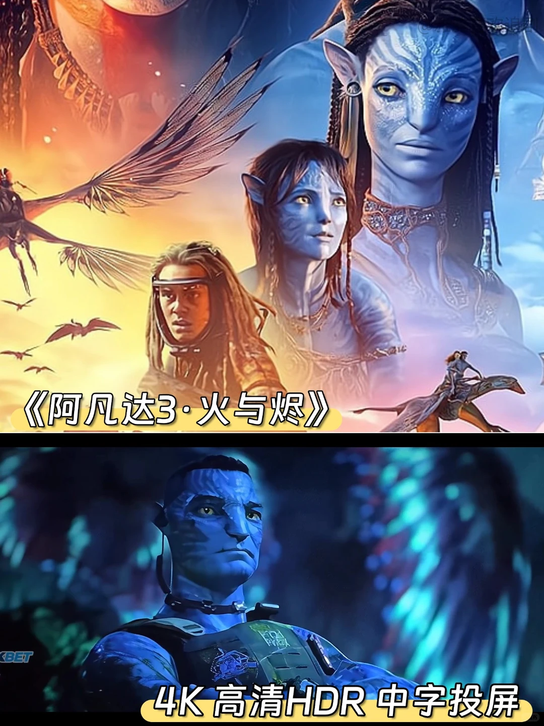 《阿凡达3火与烬》原版4K高清资源学习交流