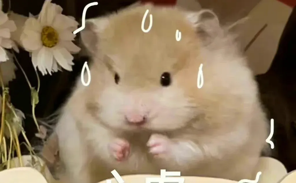 和npy一起看《霜🌸d》的故事