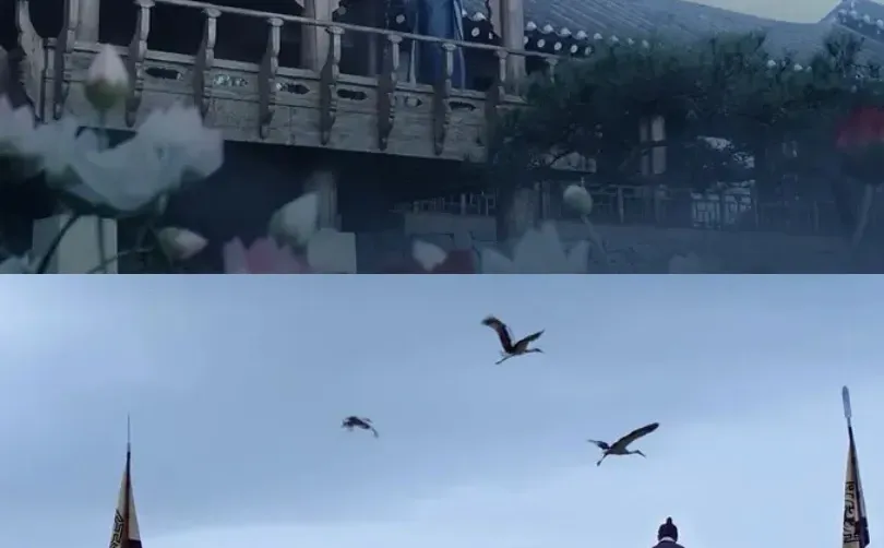 韩国电影大📏度！⭕️为了艺术，她毫无保留