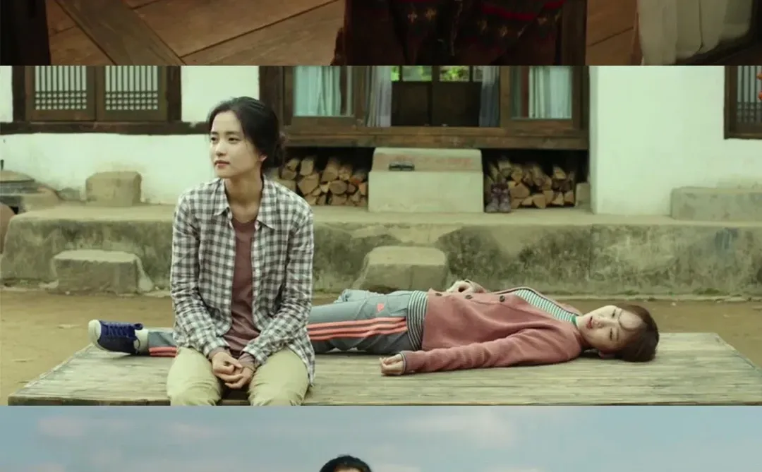 巨美巨治愈‼️强烈推荐给低谷期的你‼️