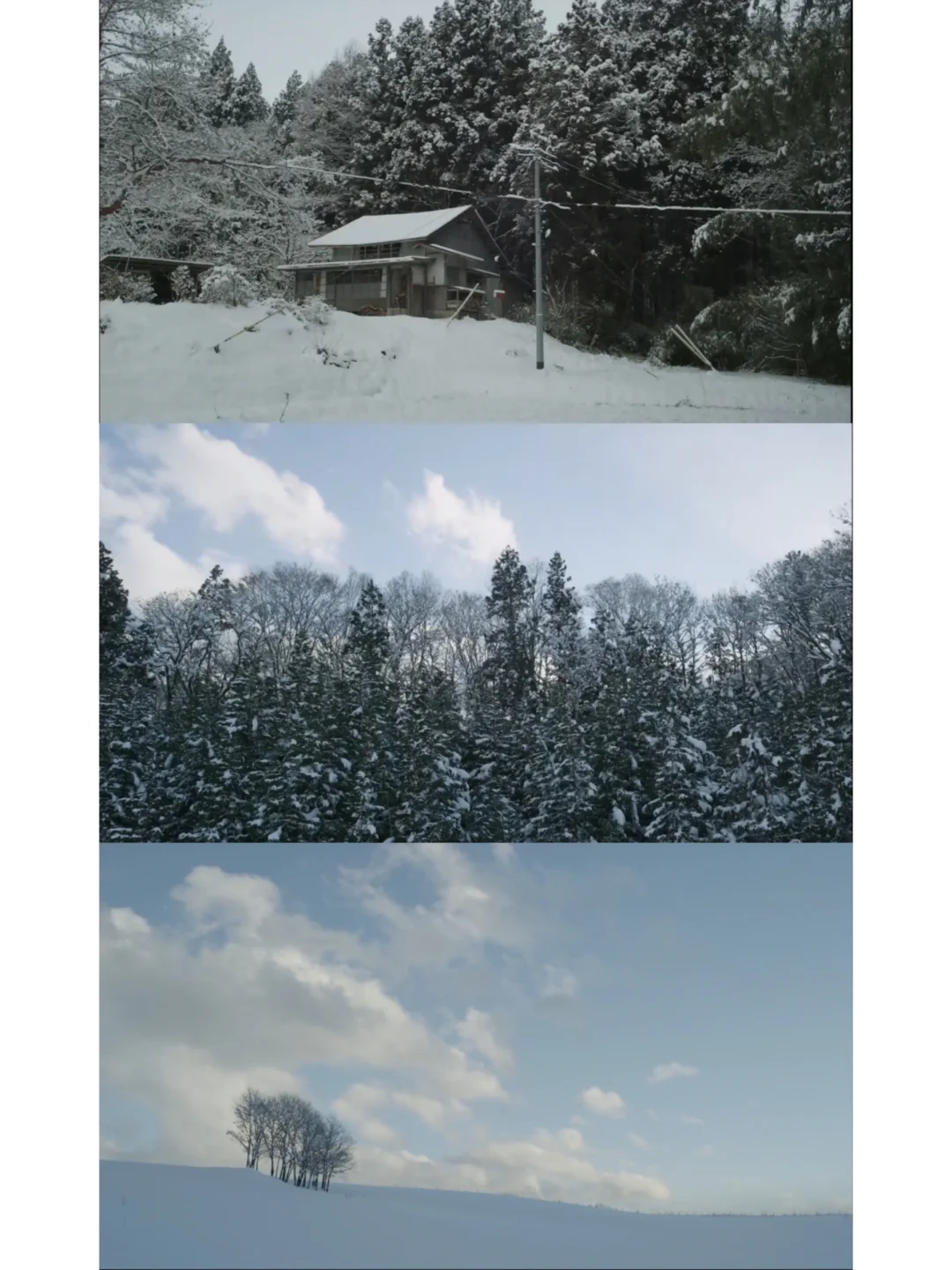 给枯燥的生活加点乐趣