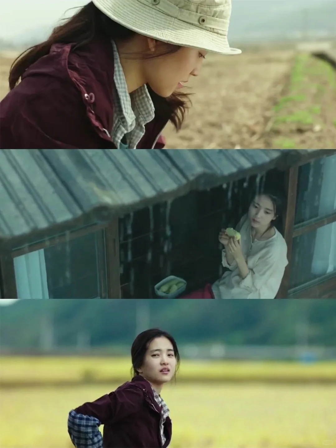 巨美巨治愈‼️强烈推荐给低谷期的你‼️