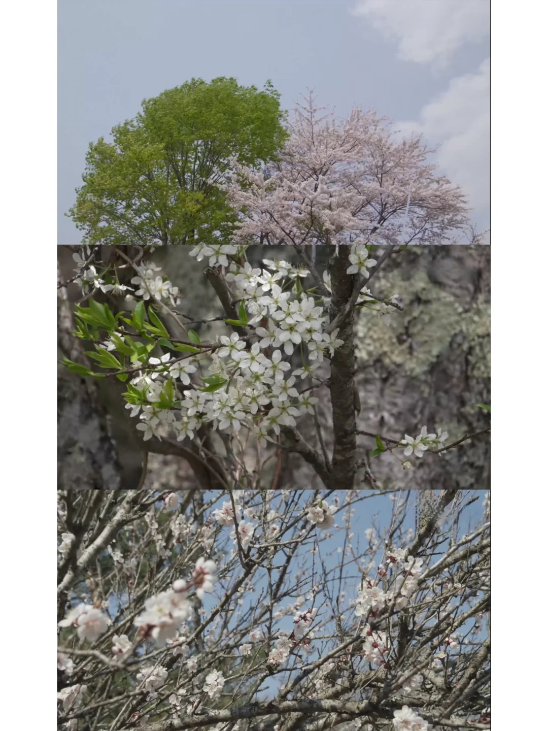 给枯燥的生活加点乐趣