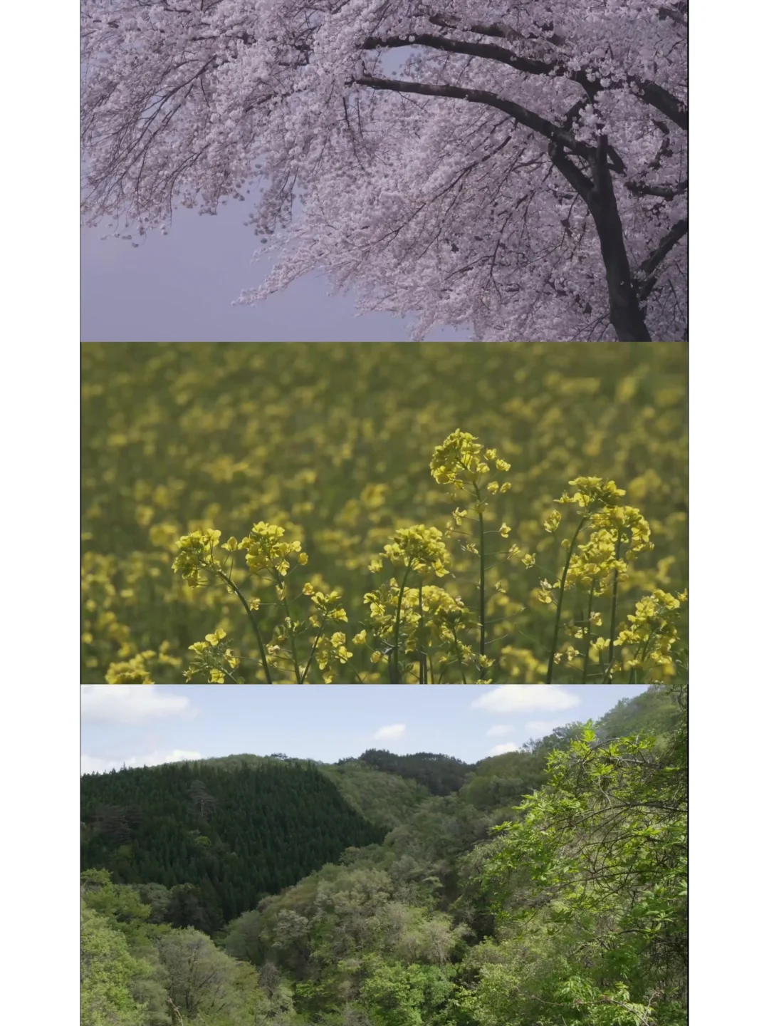 给枯燥的生活加点乐趣