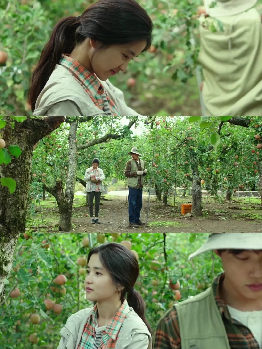 巨美巨治愈‼️强烈推荐给低谷期的你‼️