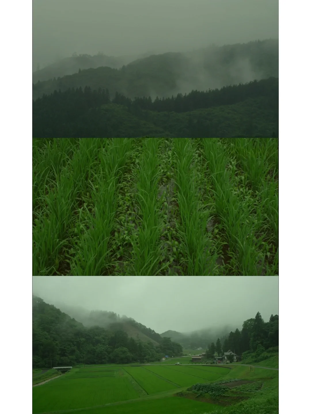 给枯燥的生活加点乐趣